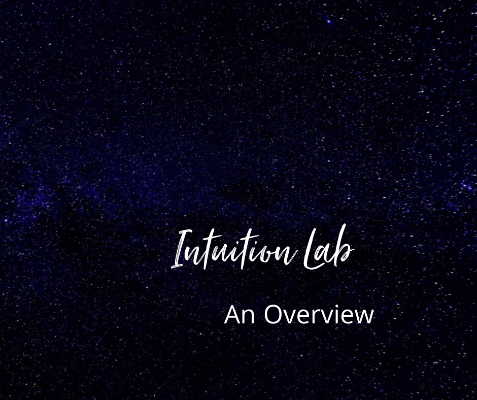 Overview of the Intuition Lab